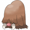 #221 Piloswine