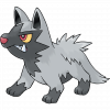 #261 Poochyena