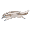 #264 Linoone