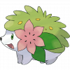 #492 Shaymin (Land)