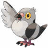 #519 Pidove