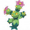 #556 Maractus