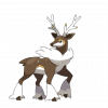 #586 Sawsbuck
