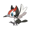 #731 Pikipek