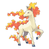 #078 Rapidash