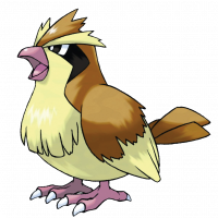 #016 Pidgey