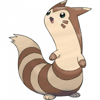 #162 Furret