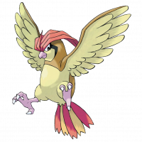 #017 Pidgeotto