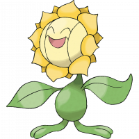 #192 Sunflora