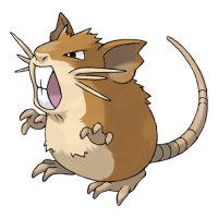 #020 Raticate