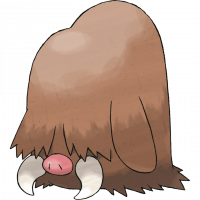#221 Piloswine