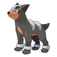 #228 Houndour