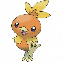 #255 Torchic