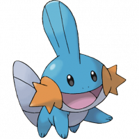 #258 Mudkip