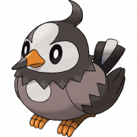#396 Starly