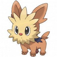 #506 Lillipup