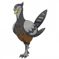 #521 Unfezant (Female)