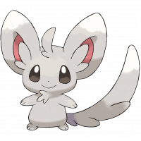 #572 Minccino